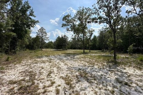 Land in Branford, Florida № 1909143 - photo 9
