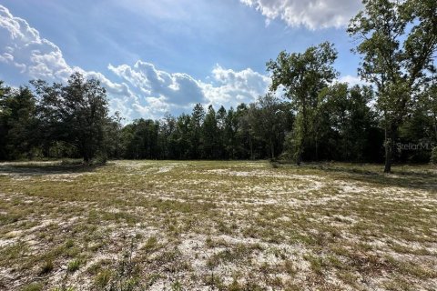 Land in Branford, Florida № 1909143 - photo 11