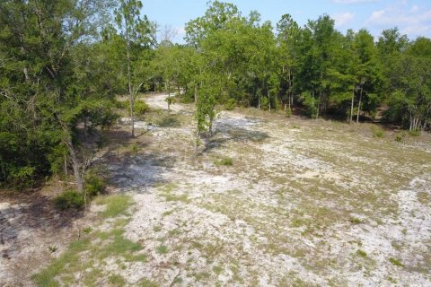 Land in Branford, Florida № 1909143 - photo 6