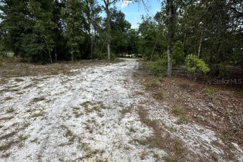 Land in Branford, Florida № 1909143 - photo 14