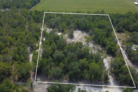 Land in Branford, Florida № 1909143 - photo 2