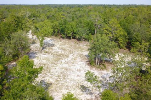 Land in Branford, Florida № 1909143 - photo 4