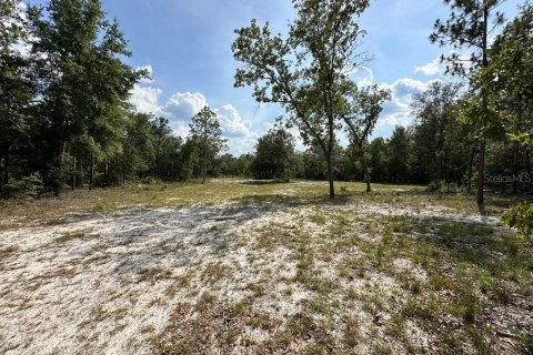 Land in Branford, Florida № 1909143 - photo 15