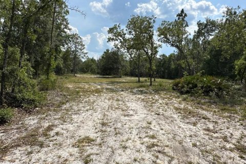 Land in Branford, Florida № 1909143 - photo 10