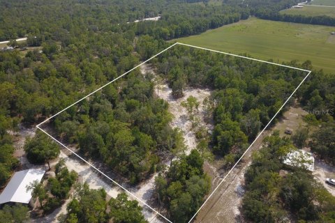Land in Branford, Florida № 1909143 - photo 1