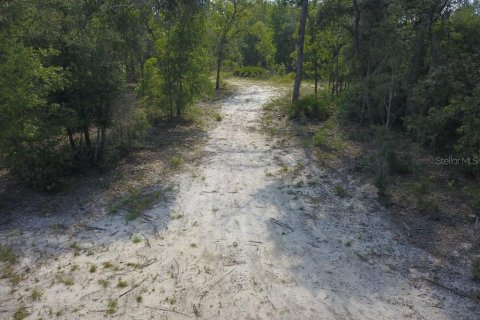 Land in Branford, Florida № 1909143 - photo 8