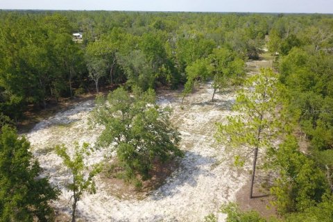 Land in Branford, Florida № 1909143 - photo 5