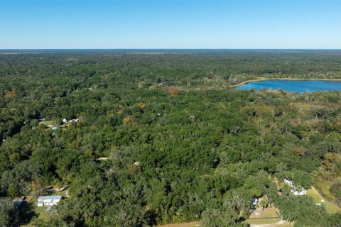 Land in Citra, Florida № 2207613 - photo 6