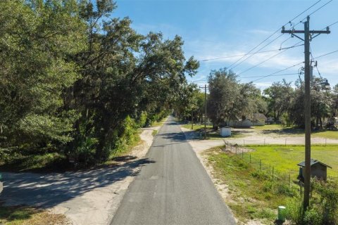 Land in Citra, Florida № 2207613 - photo 3