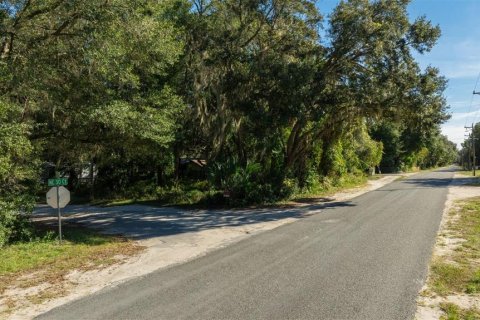 Land in Citra, Florida № 2207613