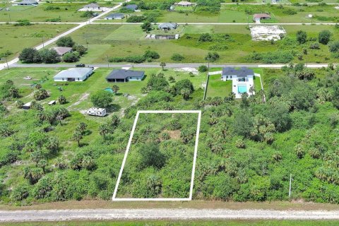 Land in Lehigh Acres, Florida № 2164319 - photo 2