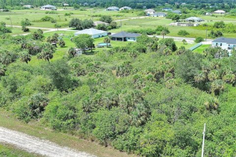 Land in Lehigh Acres, Florida № 2164319 - photo 3