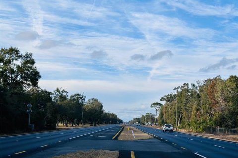 Land in Chiefland, Florida № 1561142 - photo 4