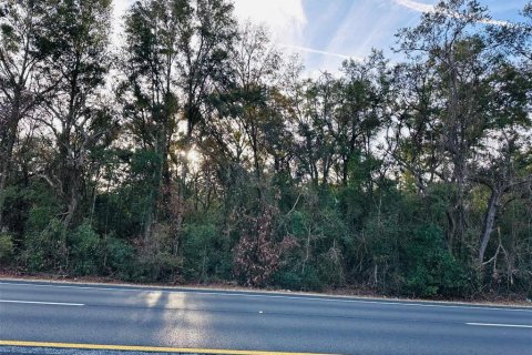 Land in Chiefland, Florida № 1561142 - photo 1
