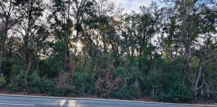 Land in Chiefland, Florida № 1561142