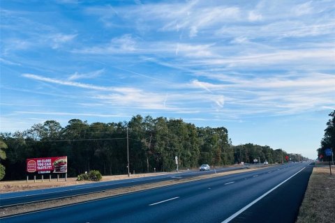 Land in Chiefland, Florida № 1561142 - photo 5