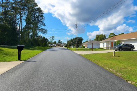 Land in Ocala, Florida № 1873627 - photo 5
