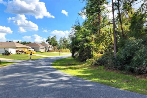 Land in Ocala, Florida № 1873627 - photo 6