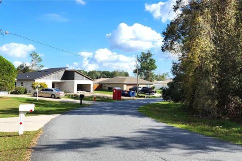 Land in Ocala, Florida № 1873627 - photo 7