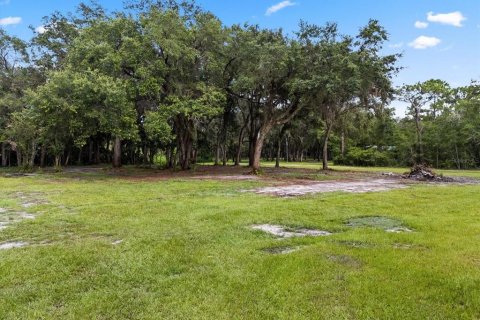 Land in Geneva, Florida № 1857928 - photo 1