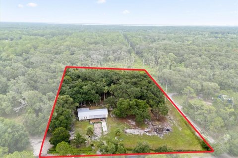 Land in Geneva, Florida № 1857928 - photo 14