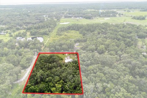 Land in Geneva, Florida № 1857928 - photo 22