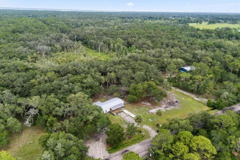 Land in Geneva, Florida № 1857928 - photo 13