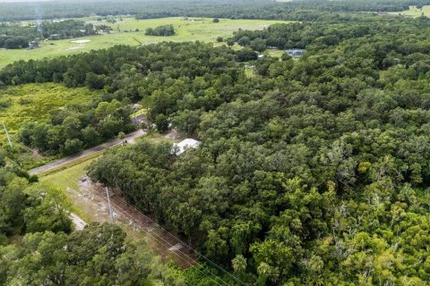 Land in Geneva, Florida № 1857928 - photo 21