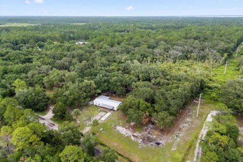 Land in Geneva, Florida № 1857928 - photo 17