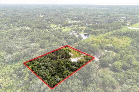 Land in Geneva, Florida № 1857928 - photo 24