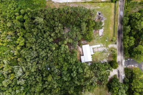 Land in Geneva, Florida № 1857928 - photo 27