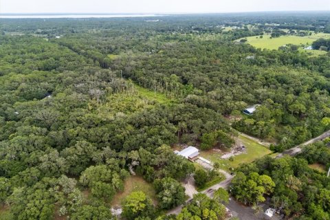 Land in Geneva, Florida № 1857928 - photo 29