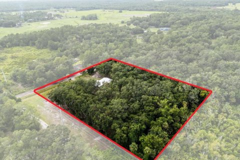 Land in Geneva, Florida № 1857928 - photo 20