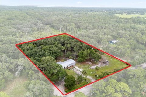 Land in Geneva, Florida № 1857928 - photo 2