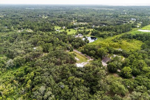 Land in Geneva, Florida № 1857928 - photo 25