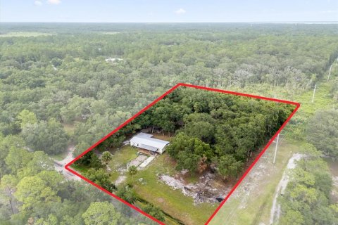 Land in Geneva, Florida № 1857928 - photo 4