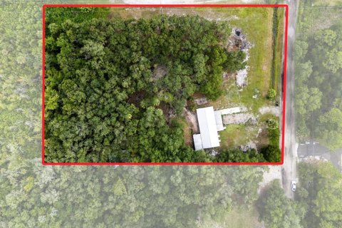Land in Geneva, Florida № 1857928 - photo 9