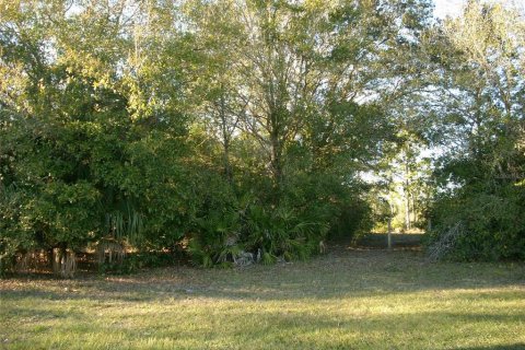 Land in Kissimmee, Florida № 1561387 - photo 3