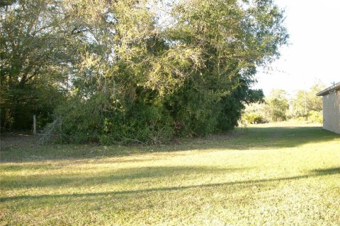 Land in Kissimmee, Florida № 1561387 - photo 4