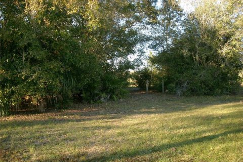 Land in Kissimmee, Florida № 1561387 - photo 1