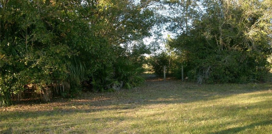 Terrain à Kissimmee, Floride № 1561387