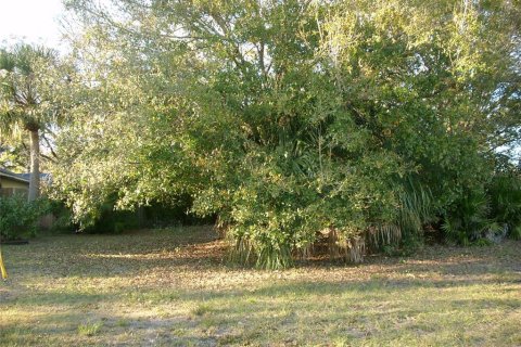 Land in Kissimmee, Florida № 1561387 - photo 2