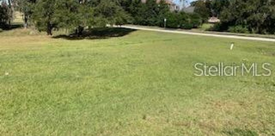 Terreno en Dade City, Florida № 1800224