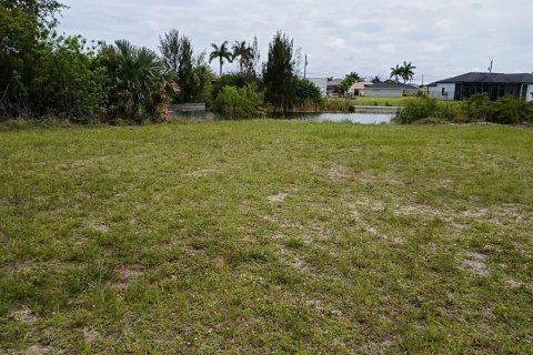 Land in Cape Coral, Florida № 2213575 - photo 2