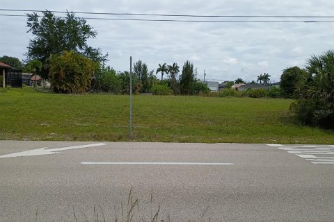 Land in Cape Coral, Florida № 2213575