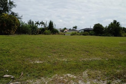 Land in Cape Coral, Florida № 2213575 - photo 3