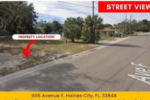 Land in Haines City, Florida № 2159263 - photo 3
