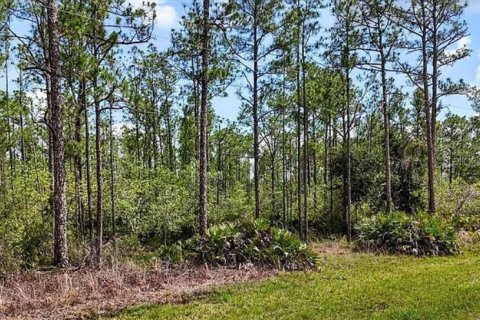 Land in Indian lake estates, Florida № 2162210 - photo 2