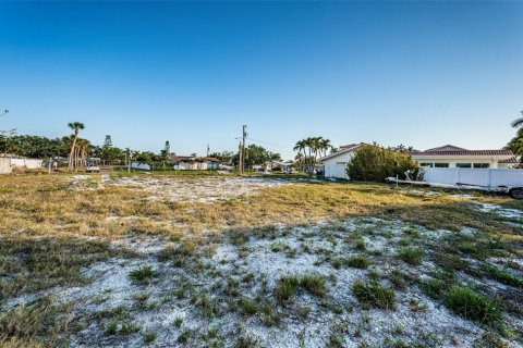 Terreno en venta en Saint Petersburg, Florida № 1649477 - foto 11