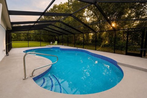 House in Lutz, Florida 4 bedrooms, 259.38 sq.m. № 2329562 - photo 4